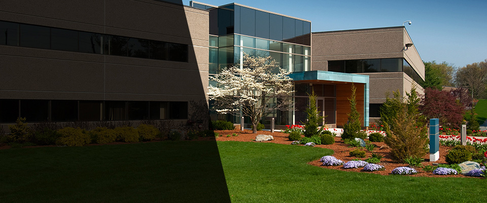 Cyrus Landscapers