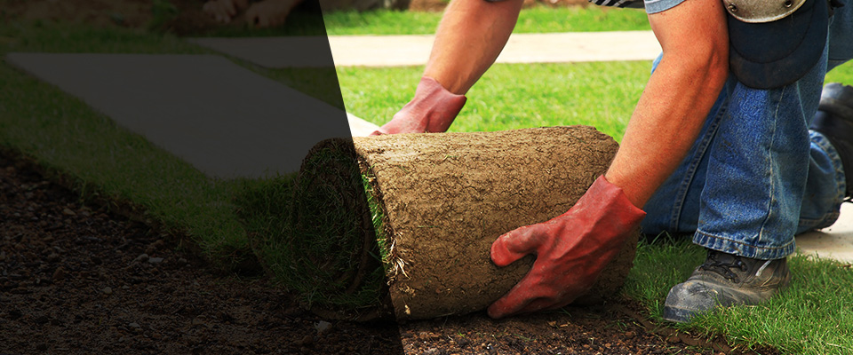 Cyrus Landscapers